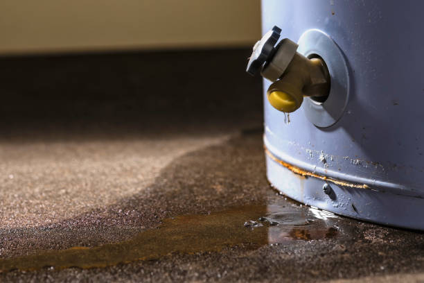 Best Residential water damage restoration  in Barrington Hls, IL