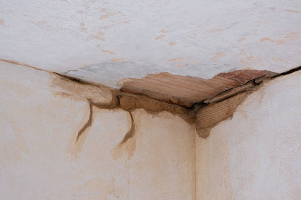 Best Water damage contractors near me  in Barrington Hls, IL