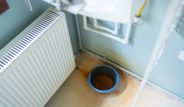 Best Basement water damage restoration  in Barrington Hls, IL