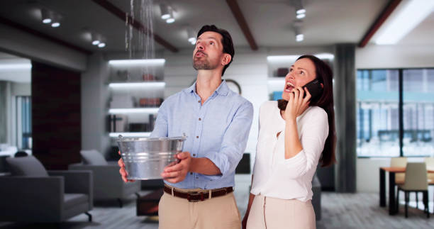 Best Water damage restoration near me  in Barrington Hls, IL